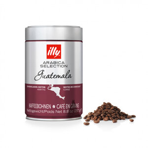illy illy Guatemala Arabica beans 250 grams