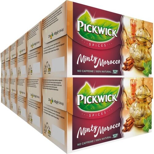 Pickwick Pickwick Spices Minty Morocco 20 stuks