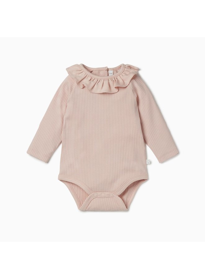 Rib Collar Body - Blush - Mori