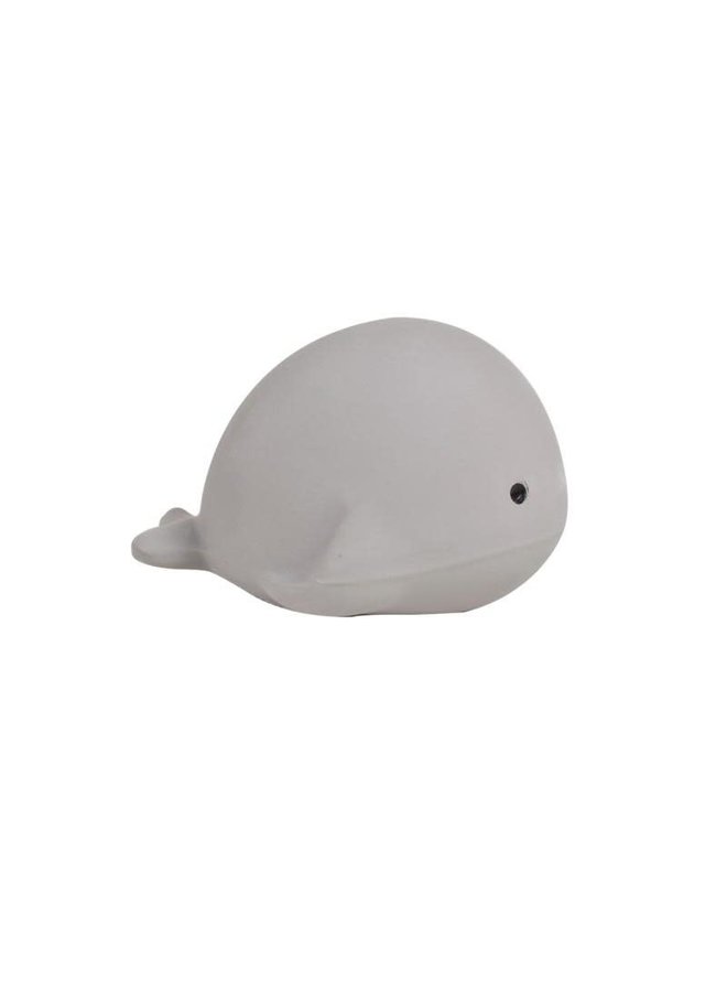 Oceaan Diertje - Walvis - Tikiri