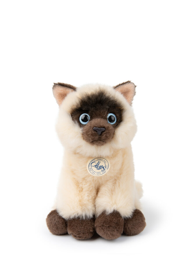 Eddie the Siamese - giftbox - B.T. Chaps