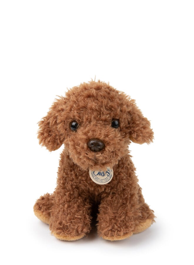 Stacy the Labradoodle - giftbox - B.T. Chaps