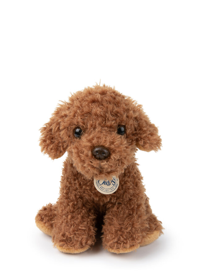 Stacy the Labradoodle - giftbox - B.T. Chaps