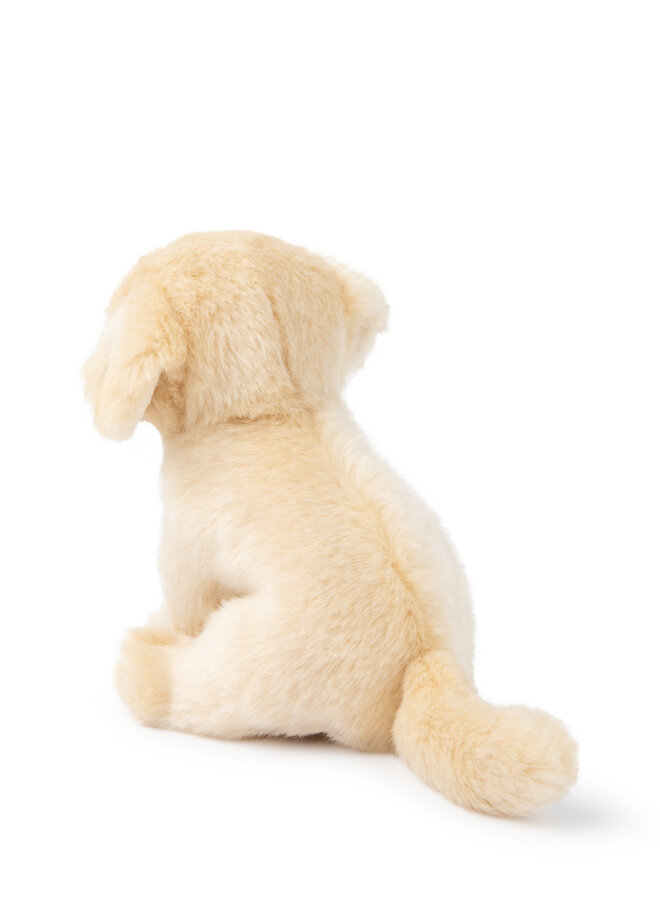 Loulou the Labrador - B.T. Chaps