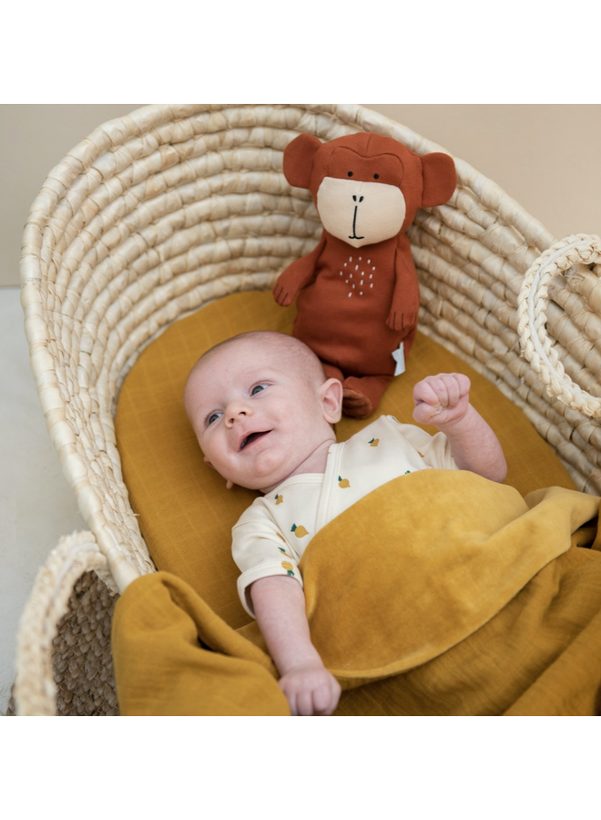 Kleine Knuffel - Mr Monkey - Trixie