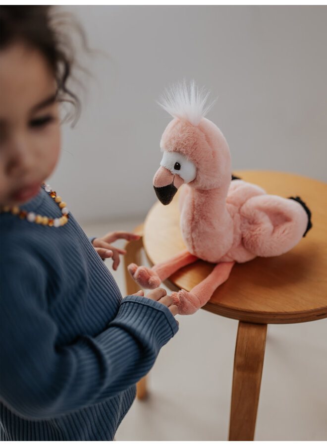 Filipa Flamingo - WWF Cub Club