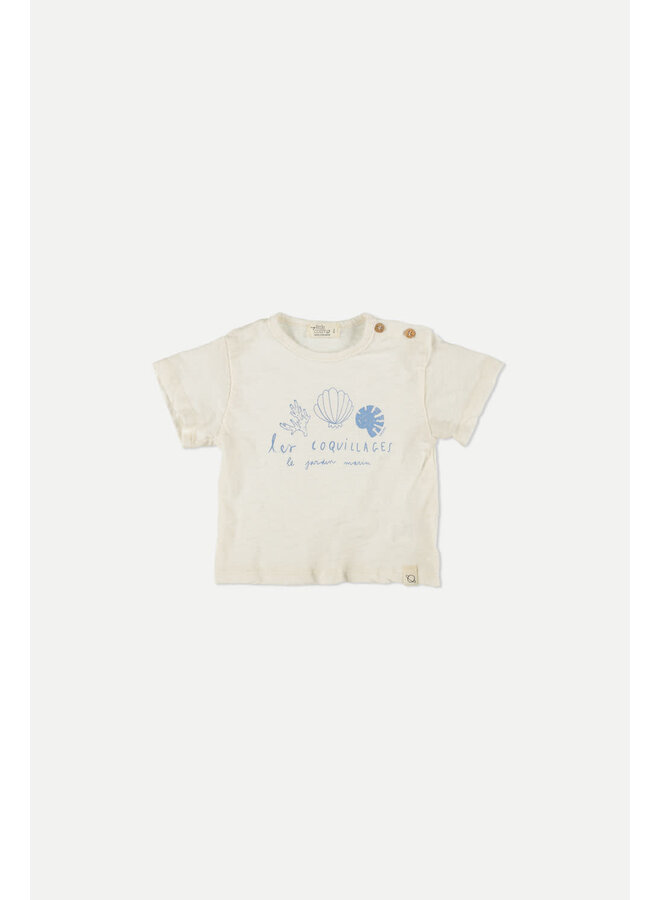 Baby T-shirt Coquillages - Ivory - My Little Cozmo