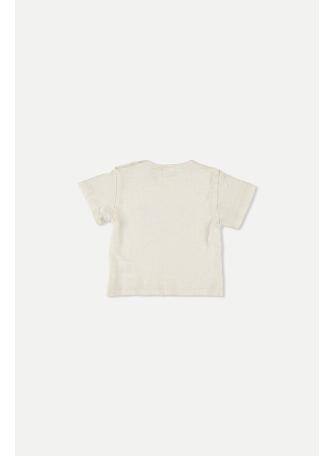 Baby T-shirt Coquillages - Ivory - My Little Cozmo