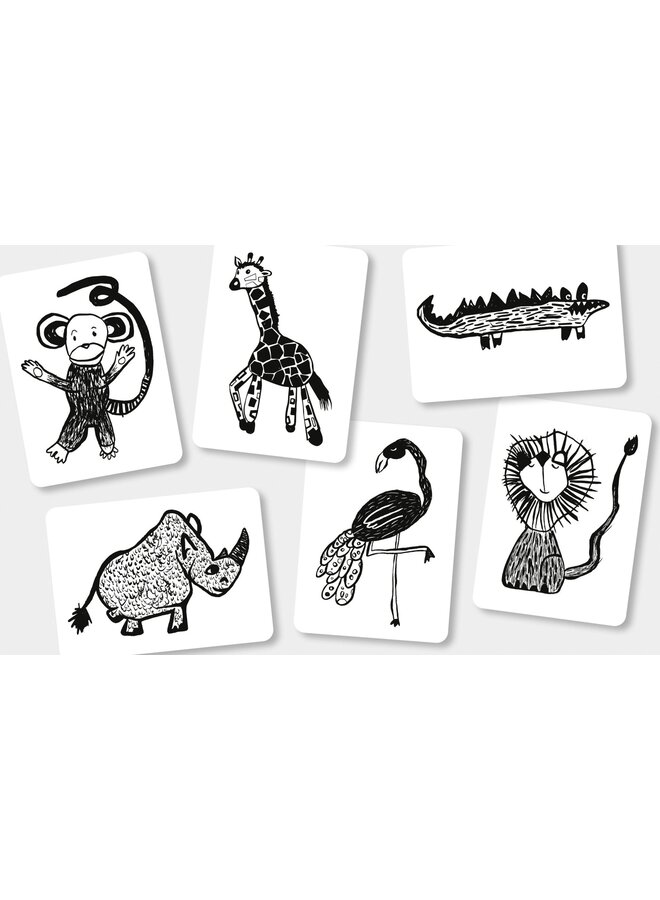 Flash Cards - Safari - Mini Coco