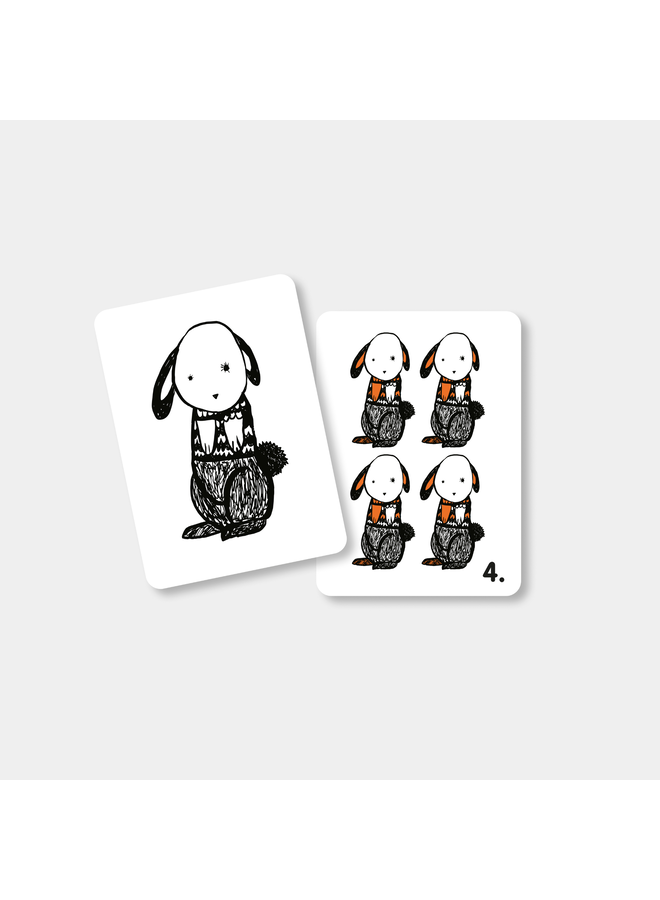 Flash Cards - Farm - Mini Coco