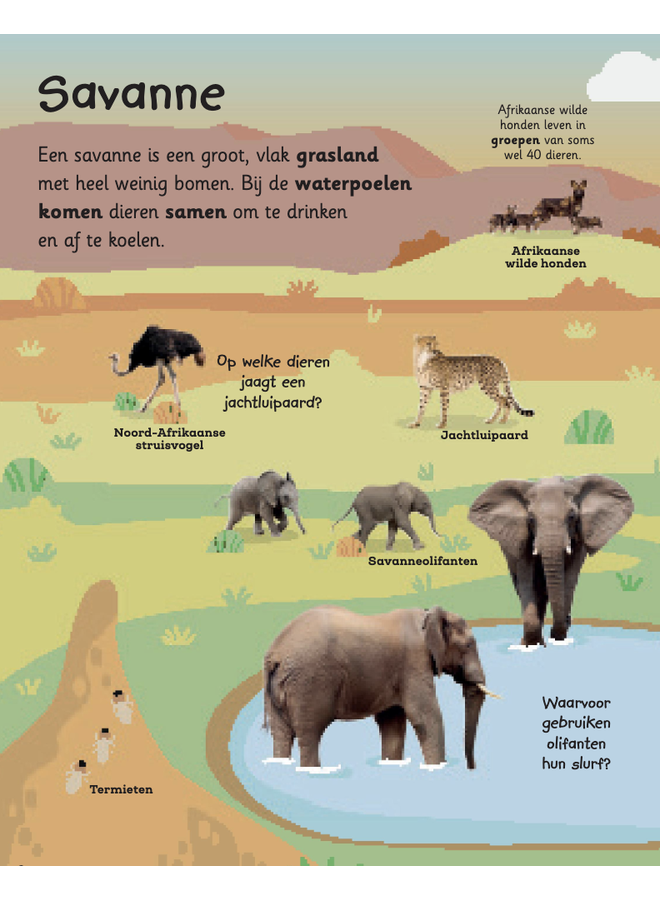 Mijn grote flapjesboek van alle dieren