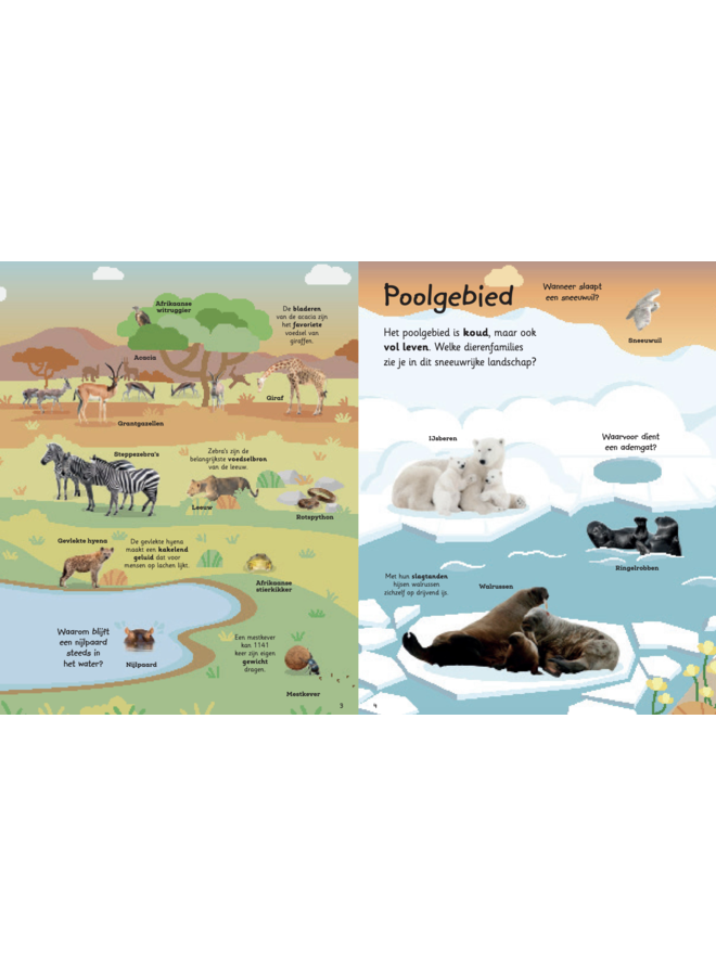 Mijn grote flapjesboek van alle dieren