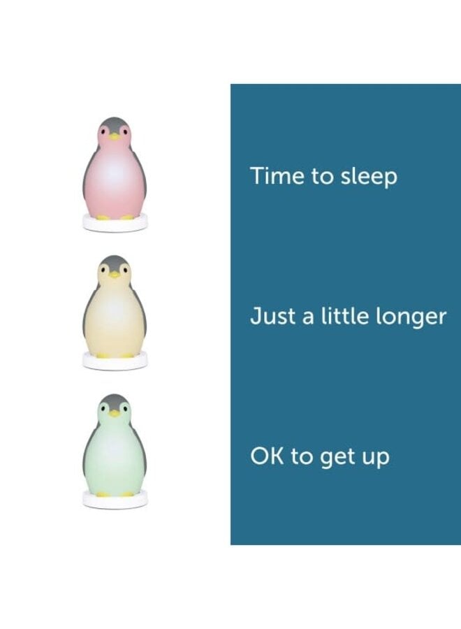 Pinguin Slaaptrainer - Zazu