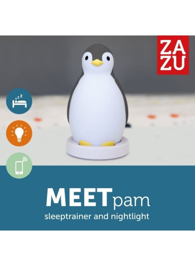 Pinguin Slaaptrainer - Zazu