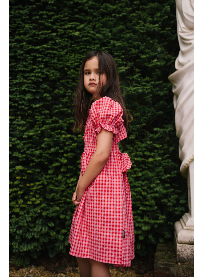 Silly Checked Dress Sunny Red - Daily Brat