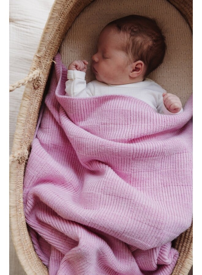 Blanket Ivy - Cotton Candy - HVID