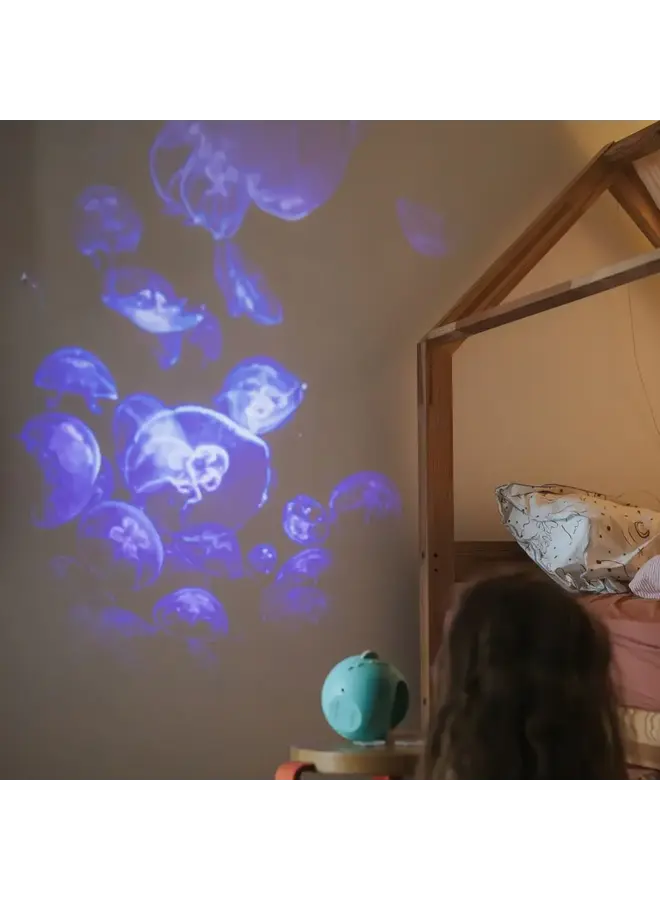 Kidystar - Beeldprojector Oceanen en zeeën - Kidywolf