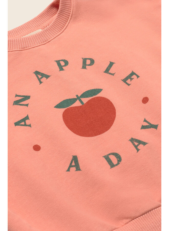 Soft Sweatshirt Liana - Apple Rose - My Little Cozmo