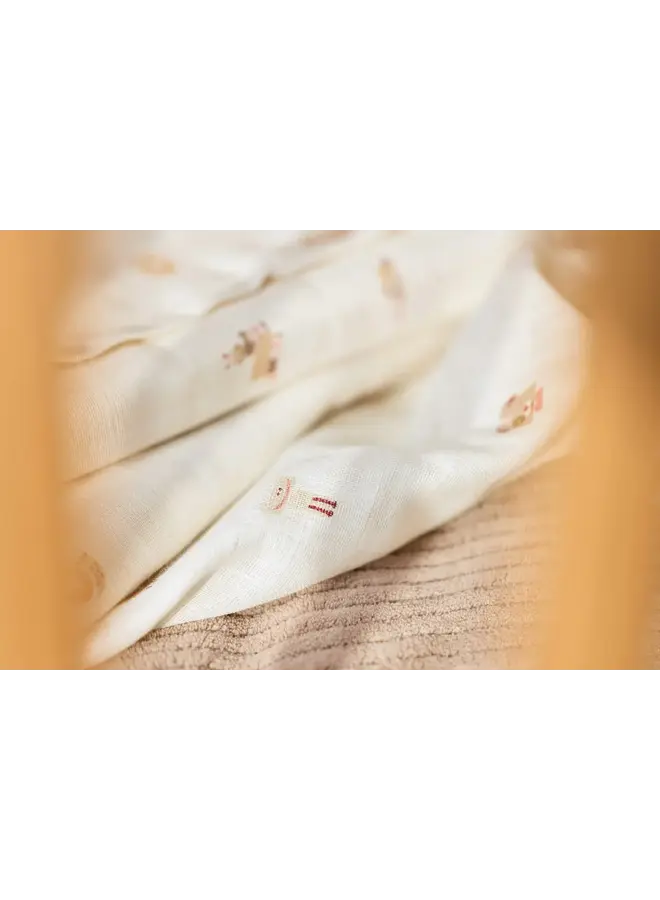 Tetra Washandjes - 3P - Animal Friends - Jollein