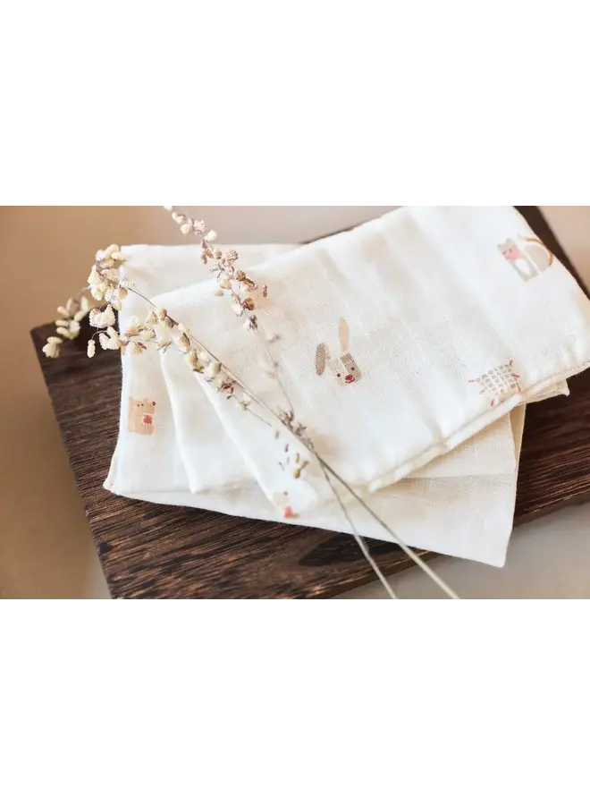 Tetra Washandjes - 3P - Animal Friends - Jollein