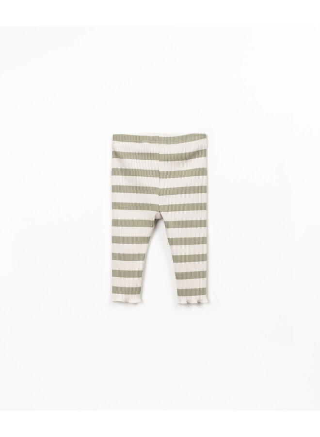 Striped Rib Legging - Sage - Play Up