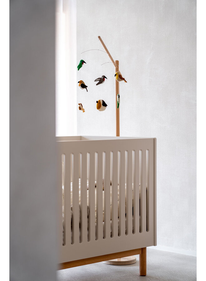 Hemelstaander - Quax