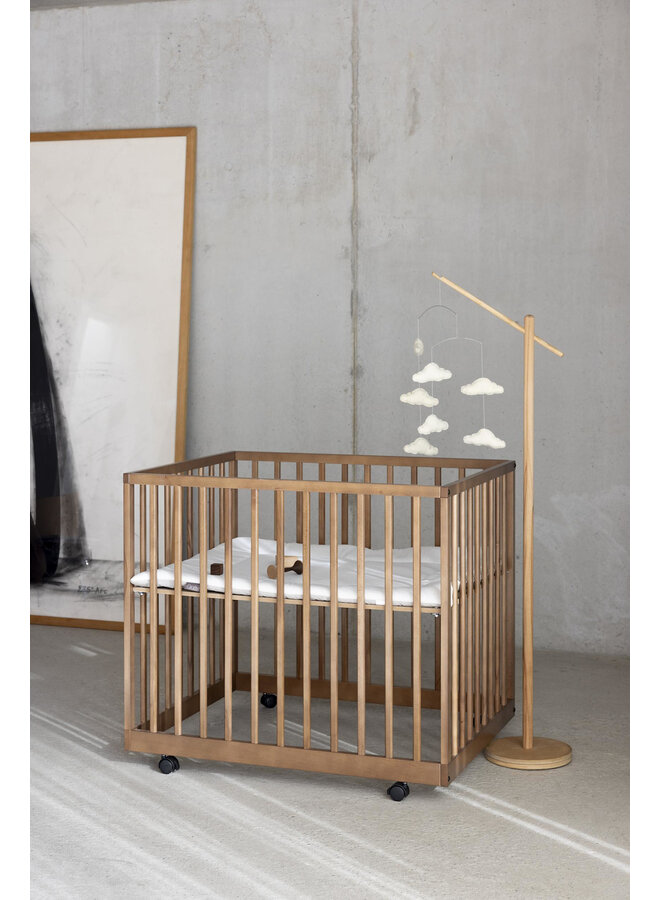 Hemelstaander - Quax