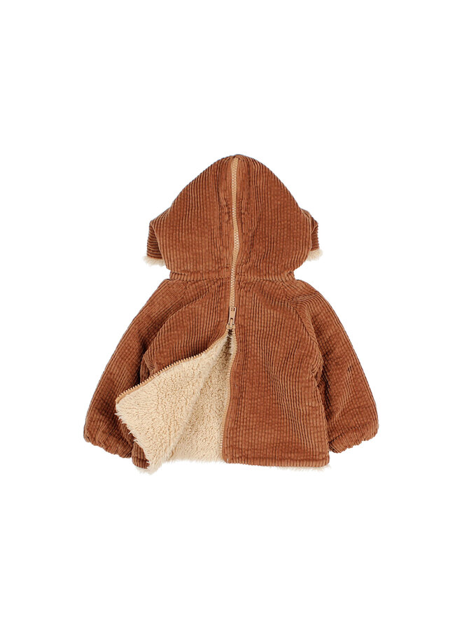 Bebe Corduroy Jacket - Cookie - Buho