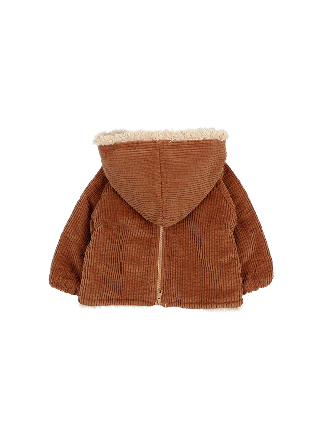 Bebe Corduroy Jacket - Cookie - Buho