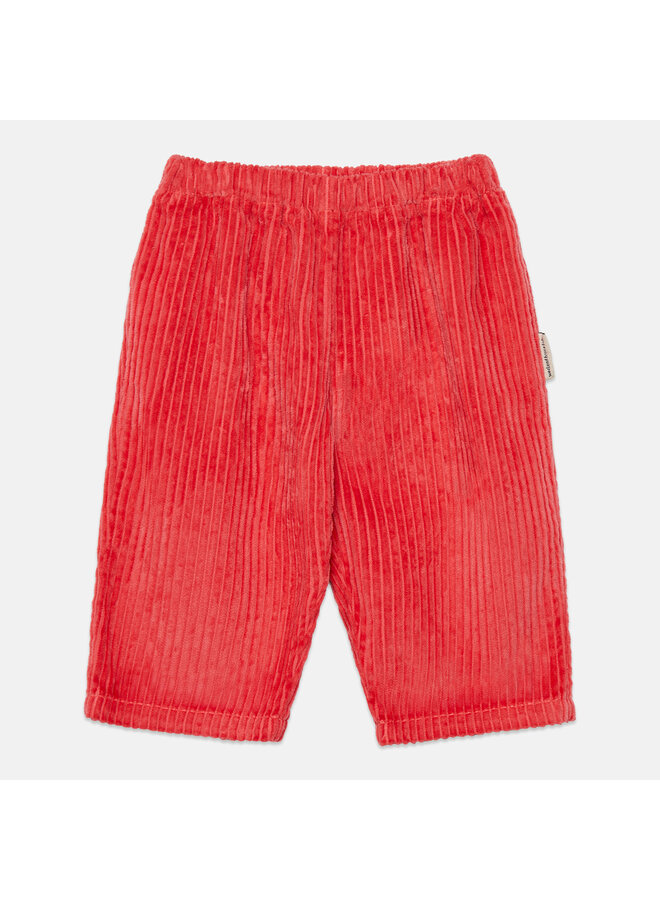 Whk corduroy baby pants - Red - Weekend House Kids