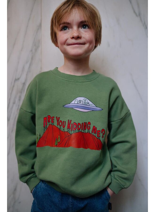 Are You Kidding Me Sweater - Daily Brat
