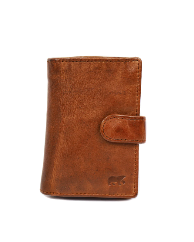 Bear-Design BEAR Pasjeshouder Vic  CL 527 -  zwart - cognac - geel - groen