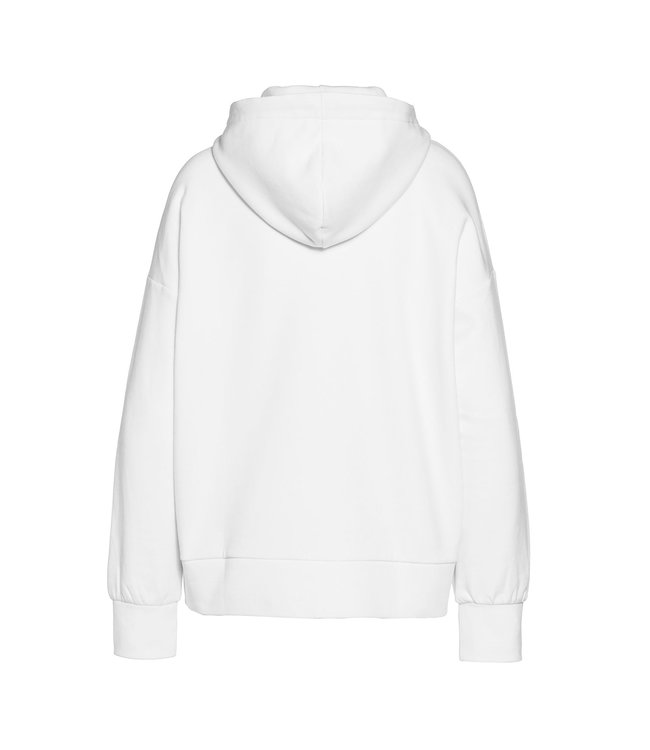 GOLDBERGH HARVARD HOODIE