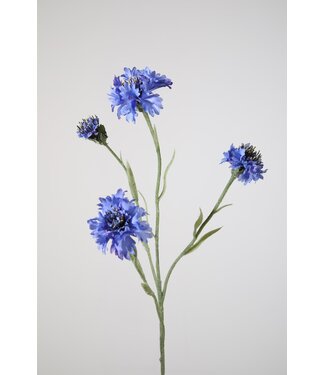 Cornflower spray x 4