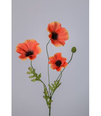Klaproos licht oranje 63 cm