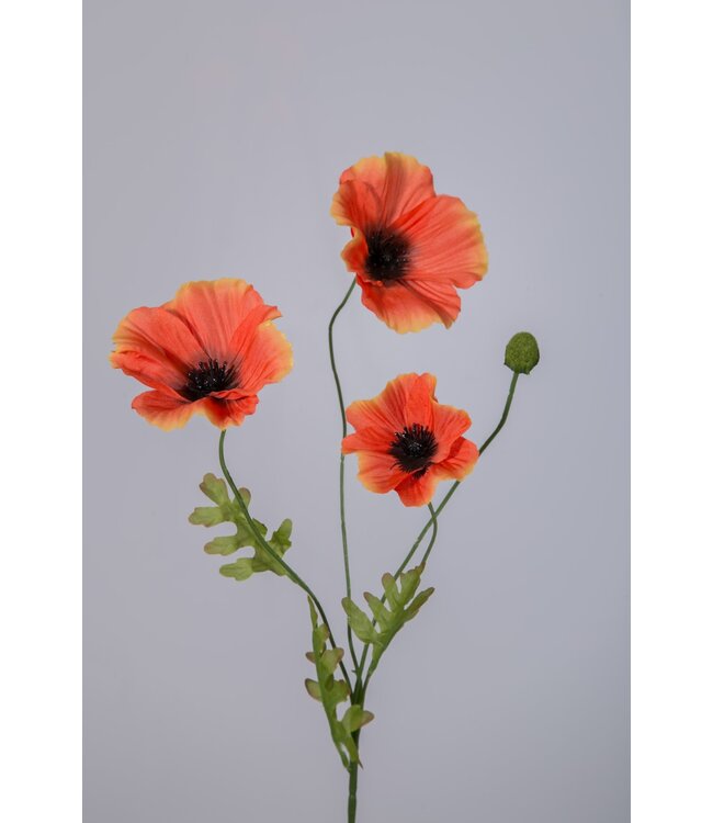 Klaproos licht oranje 63 cm