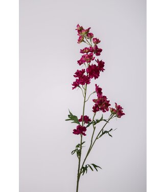 Ridderspoor delphinium  fuchsia 77 cm