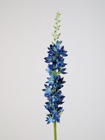 Colours and green Foxtail Lily S. 58cm Blauw