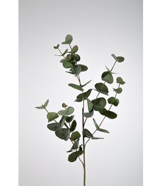 Eucalyptus tak 87cm groen
