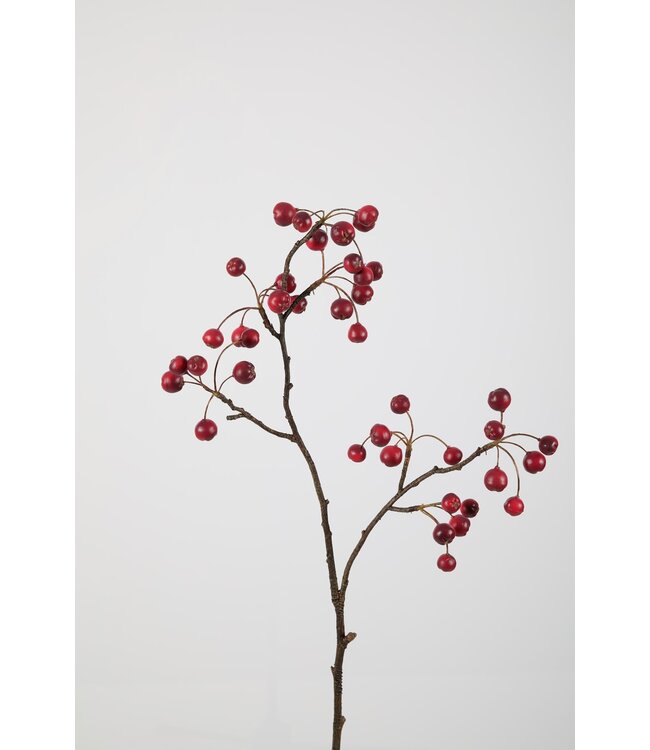 Berry Stem 91cm