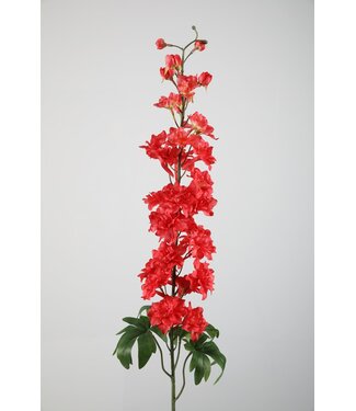 Ridderspoor (delphinium ) rood 102 cm