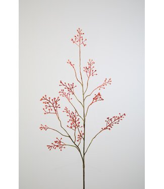 Rozenbottel oranje 123 cm