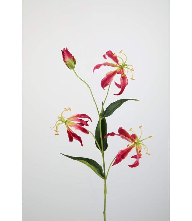 Gloriosa 82 cm fuchsia