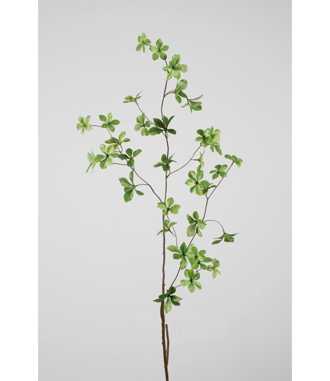 Tak met kleine blaadjes groen 127 cm