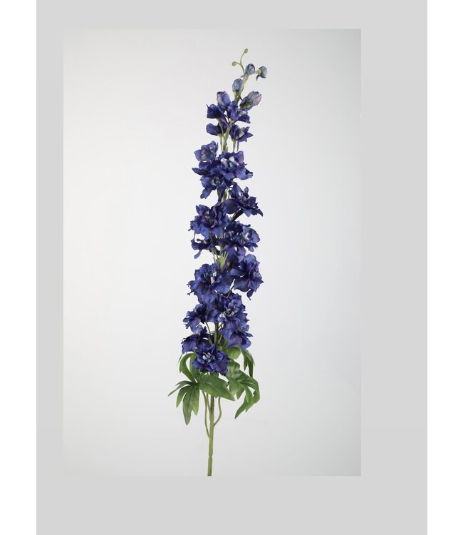 Ridderspoor  (Delphinium )  102 cm Blauw
