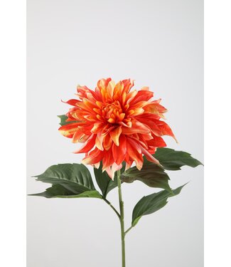 Dahlia Cafe au Lait 84cm