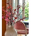 Sakura tak x15 115cm, koraal