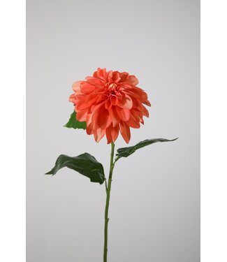 Dahlia 79cm dia 15cm koraal