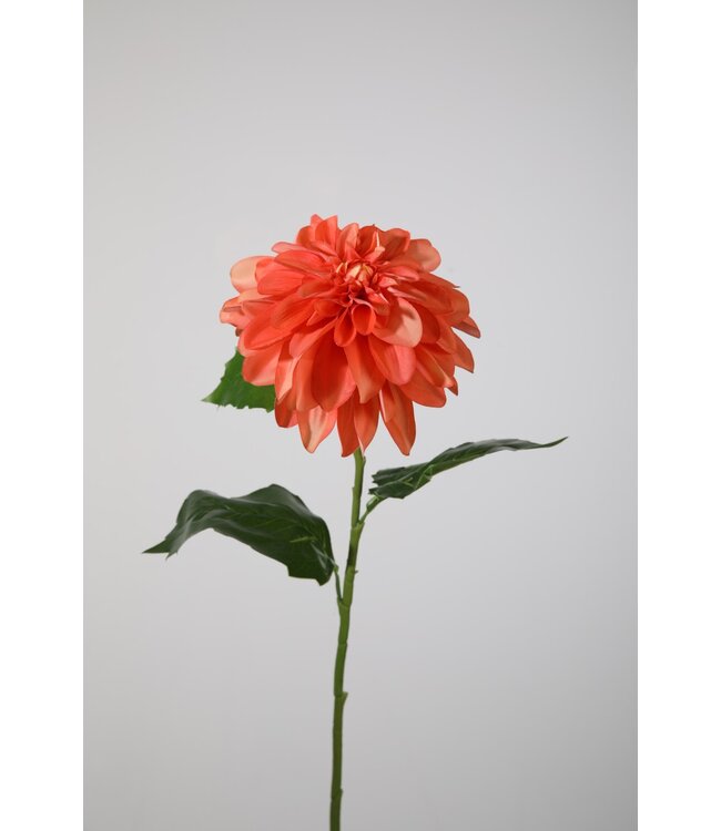 Dahlia 79cm dia 15cm koraal