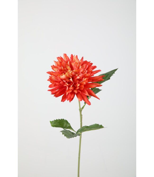 Dahlia 65cm dia 13cm zalm